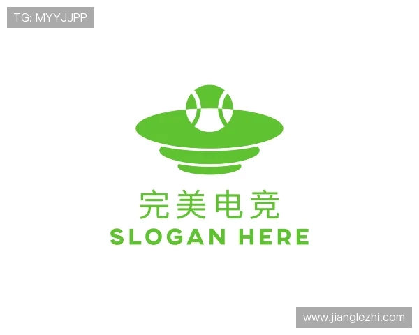 介绍完美电竞